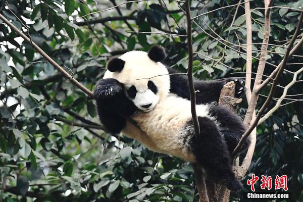 天命奇御2长棍击八荒成就怎么做