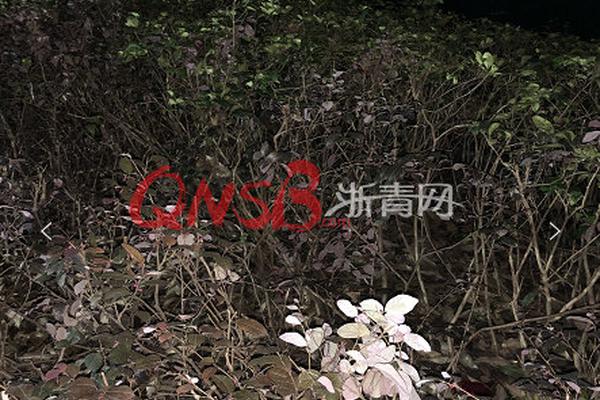 天神镇怎么提高采石场的采集效率