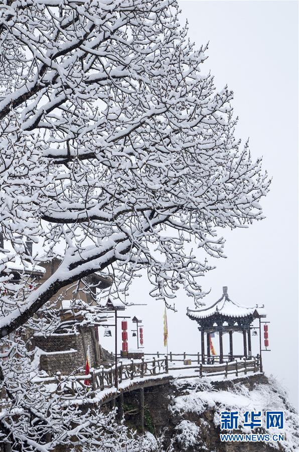无人深空伪造护照有什么用