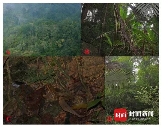 [球探比分即时足球比分快乐八火狐]