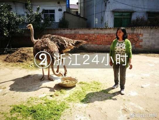 战地2042新专家机枪有什么用